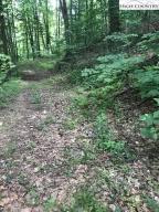 0 Old Church Loop Rd # -0, Butler, TN 37640
