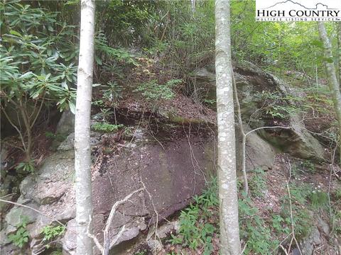140 Lower Snowbird Trl, Beech Mountain, NC 28604 photo 5