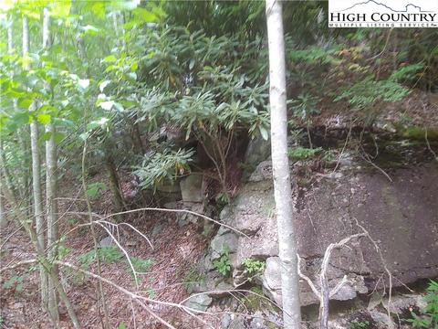 140 Lower Snowbird Trl, Beech Mountain, NC 28604 photo 4