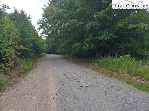 140 Lower Snowbird Trl, Beech Mountain, NC 28604 photo 1