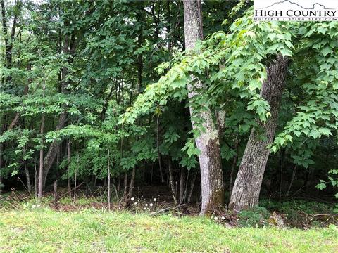 1140 Pine Ridge Rd, Beech Mountain, NC 28604 photo 1