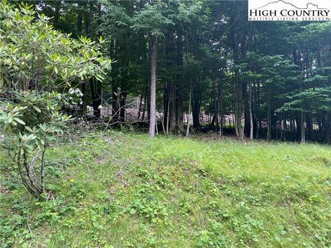 125 Shagbark Rd, Beech Mountain, NC 28604 photo 4