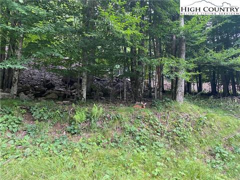 125 Shagbark Rd, Beech Mountain, NC 28604 photo 5