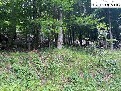 125 Shagbark Rd, Beech Mountain, NC 28604 photo 1