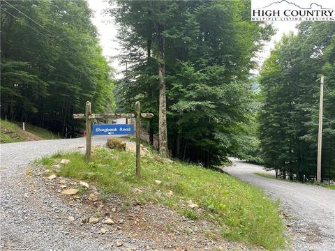 125 Shagbark Rd, Beech Mountain, NC 28604 photo 6