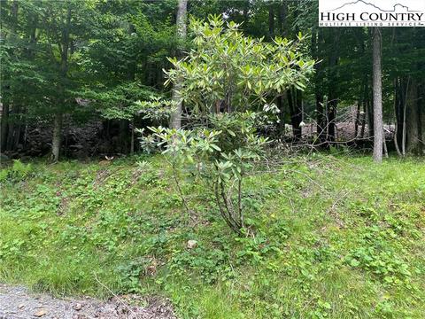 125 Shagbark Rd, Beech Mountain, NC 28604 photo 3