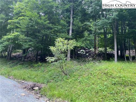 125 Shagbark Rd, Beech Mountain, NC 28604 photo 2
