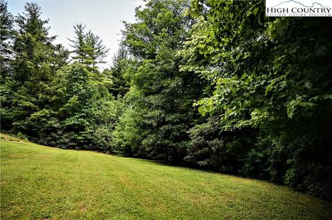 217 Mount Paron Rd, Deep Gap, NC 28618 photo 5