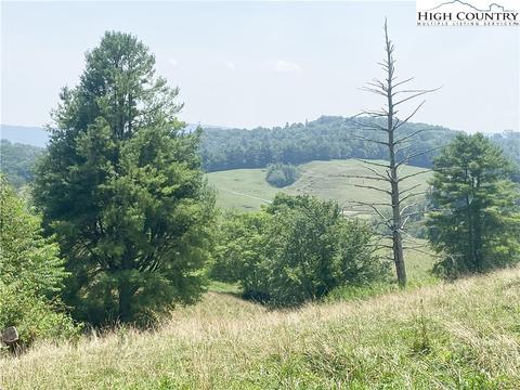 tbd Beaver Dam Rd, Independence, VA 24348 photo 8