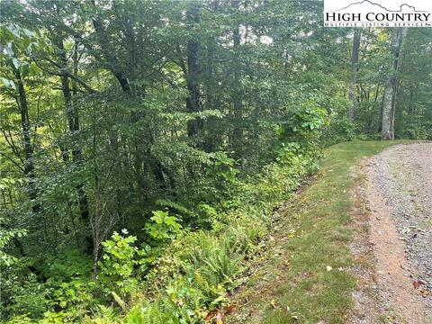 63 Carefree Cove Rd, Zionville, NC 28698