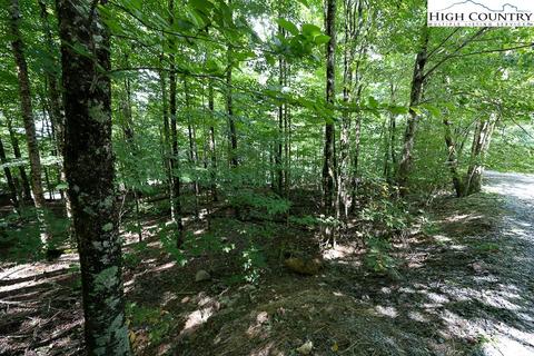 133 Hornbeam Rd, Beech Mountain, NC 28604 photo 1