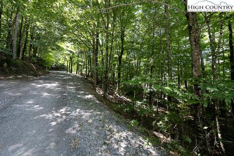 133 Hornbeam Rd, Beech Mountain, NC 28604 photo 2