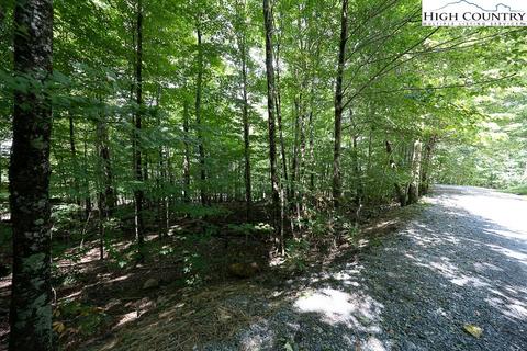 133 Hornbeam Rd, Beech Mountain, NC 28604 photo 3