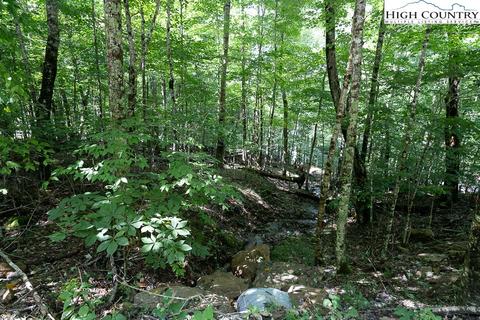 133 Hornbeam Rd, Beech Mountain, NC 28604 photo 4