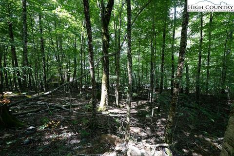 133 Hornbeam Rd, Beech Mountain, NC 28604 photo 5