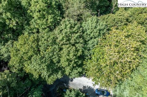 133 Hornbeam Rd, Beech Mountain, NC 28604 photo 6