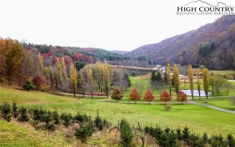 1444 River Rd, Todd, NC 28684 photo 22