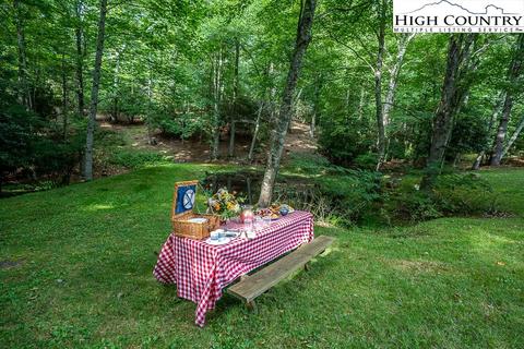 1444 River Rd, Todd, NC 28684 photo 28