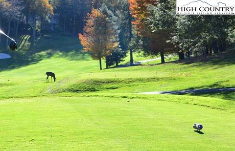 278 Greenbriar Rd, Beech Mountain, NC 28604 photo 26