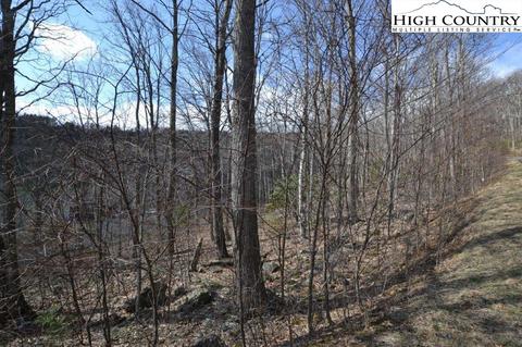 lot116 Lauren Ln, West Jefferson, NC 28694