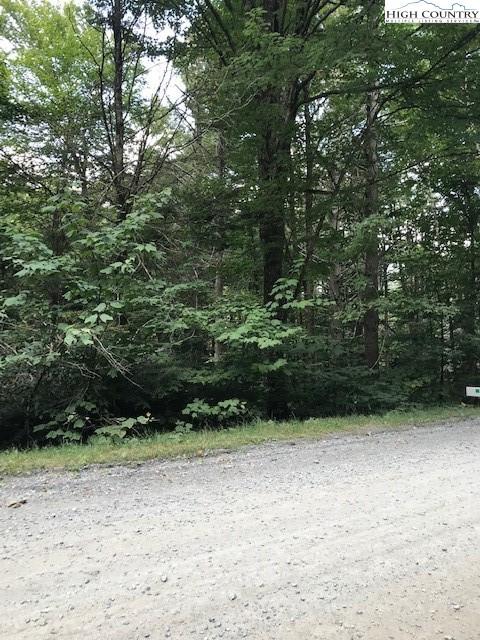 129 Wild Daisy Ln, Beech Mountain, NC 28604 photo 1