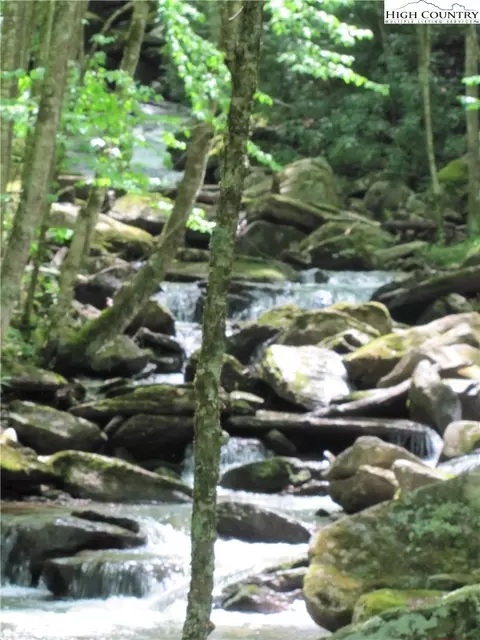 361 Locust Ridge Rd, Beech Mountain, NC 28604 photo 3