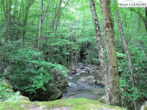 361 Locust Ridge Rd, Beech Mountain, NC 28604 photo 2