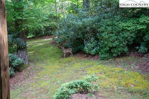 280 Rustic Rd, West Jefferson, NC 28694 photo 10