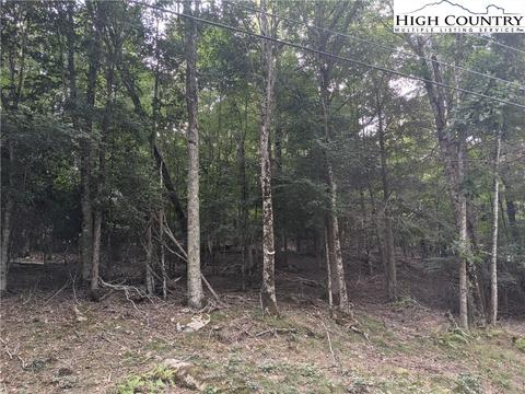 139 Chestnut Way, Beech Mountain, NC 28604 photo 2