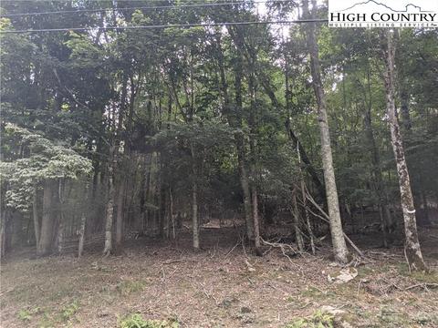 139 Chestnut Way, Beech Mountain, NC 28604 photo 1
