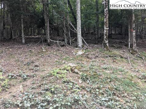 139 Chestnut Way, Beech Mountain, NC 28604 photo 3