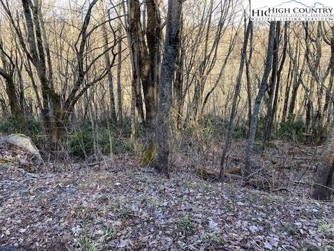 102 Balsam Ln, Beech Mountain, NC 28604 photo 1