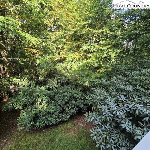 220 Bradley, Boone, NC 28607 photo 28