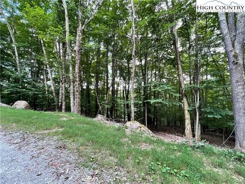 105 Strawberry Ln, Beech Mountain, NC 28604 photo 4
