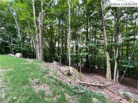 105 Strawberry Ln, Beech Mountain, NC 28604 photo 2