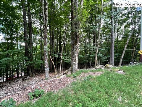 105 Strawberry Ln, Beech Mountain, NC 28604 photo 1