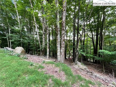 105 Strawberry Ln, Beech Mountain, NC 28604 photo 3