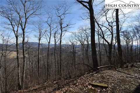 tbd Big Tree Rd, West Jefferson, NC 28694