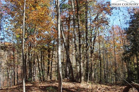 Tbd Serenity Place, Deep Gap, NC 28618 photo 18