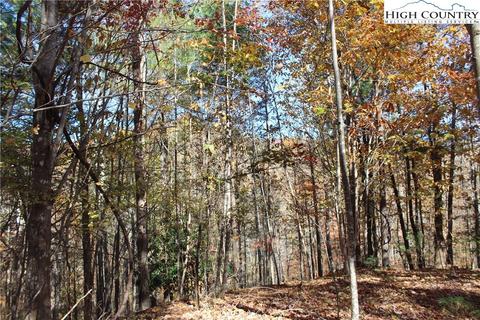 Tbd Serenity Place, Deep Gap, NC 28618 photo 19