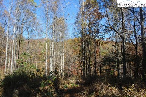 Tbd Serenity Place, Deep Gap, NC 28618 photo 14