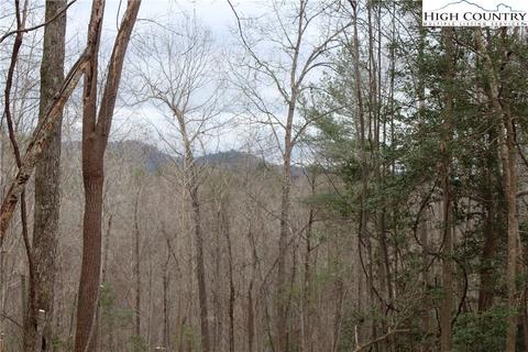 Tbd Serenity Place, Deep Gap, NC 28618 photo 21
