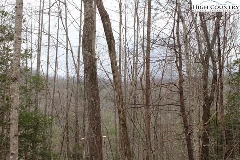 Tbd Serenity Place, Deep Gap, NC 28618 photo 22