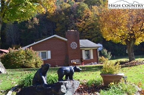 116 Bear Wallow Rd, Lansing, NC 28643 photo 1