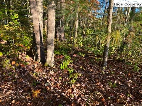 tbd Smith Dixon Rd, Crumpler, NC 28617 photo 6