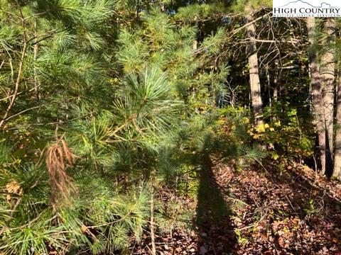 tbd Smith Dixon Rd, Crumpler, NC 28617 photo 3
