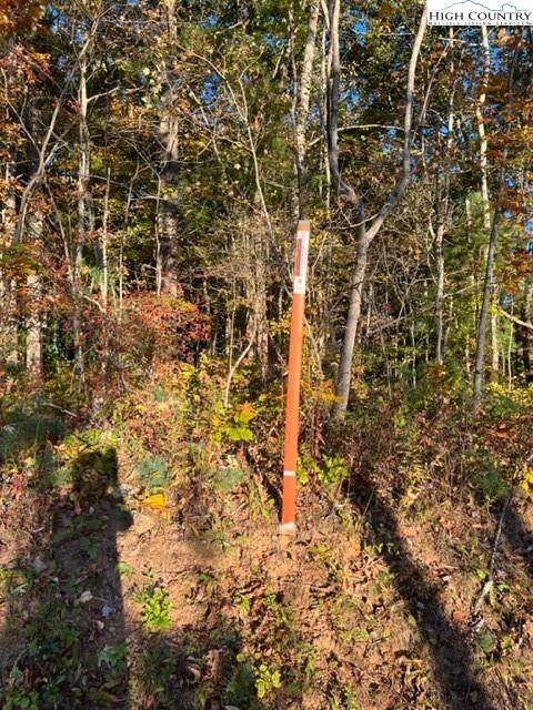 tbd Smith Dixon Rd, Crumpler, NC 28617 photo 10