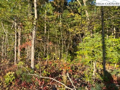 tbd Smith Dixon Rd, Crumpler, NC 28617 photo 7