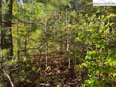 tbd Smith Dixon Rd, Crumpler, NC 28617 photo 5