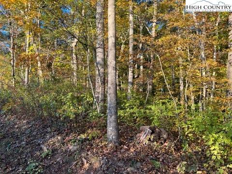 tbd Smith Dixon Rd, Crumpler, NC 28617 photo 2